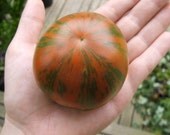 Chocolate Stripes Heirloom Tomato Seeds