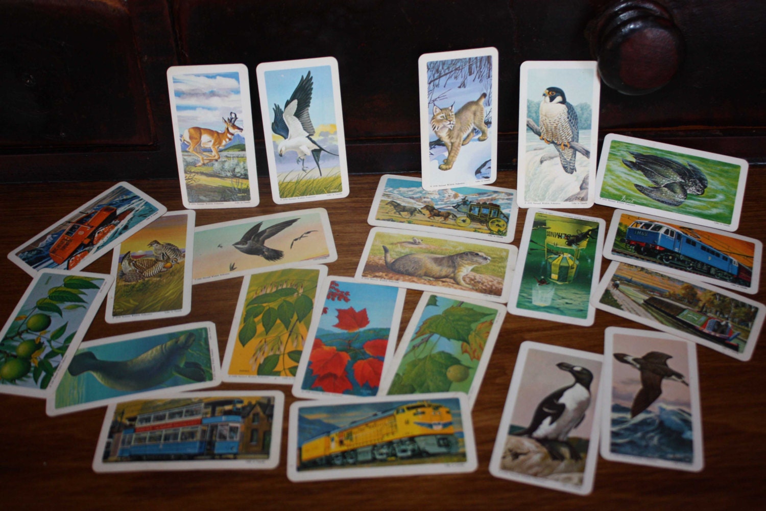 Vintage cards x 22 - Red Rose - Blue Ribbon - premium - giveaway - tea and coffee