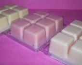WILD BERRY SCONE Soy Melt Wax Break A Way Tart 3oz