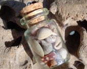 ON SALE Irish Sea Shells Collection in Tiny Glass Vial Beachcomber's Treasure
