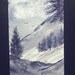 aceo original winter monochrome landscape POST FREE
