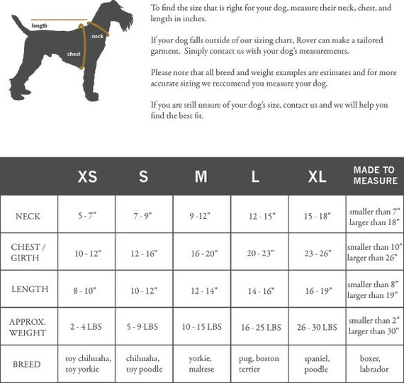 Rover Pointed Cat Collar