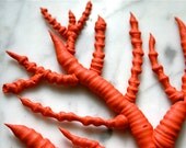 Edible Sugar Red Finger Coral - 9 pieces - Beach Wedding / Beach Event