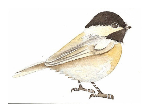 Chickadee - ACEO Art Bird Print of my original watercolor, painting by Lorisworld