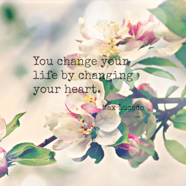 Nature photography - apple blossom, famous quote, pink and green home ...