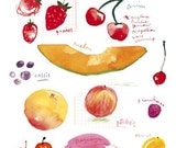 Kitchen art, Summer fruits Watercolor painting, Food illustration, 11X14 print, Seasonal fruit poster