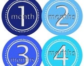 SALE Monthly Onesie Stickers-Shades of Blue- Waterproof  Stickers EXTRA Durable-Original Seller Looks Great on ANY Color Onesie