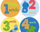 Monthly Onesie Stickers Baby Month Stickers Baby Boy Stickers Monthly Onesie Stickers Baby Shower Gift Photo Prop Milestone Stickers