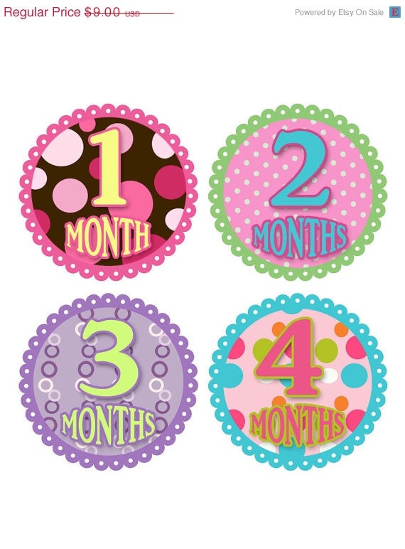 Monthly Baby Onesie Stickers Baby Month Stickers Baby Girl Stickers Monthly Onesie Stickers Baby Shower Gift Photo Prop Milestone Stickers