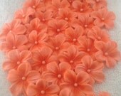 Cake Decoration Flowers Blossoms Peach
