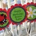 3 Ladybug Centerpiece Sticks - Girls Birthday Party - Personalized Party Decorations - Red, Green, Black