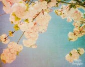 Flower Photography, Nature Photography, Springtime, Girls Room Decor, Retro, Pop Colours, Turquoise, Pink - Miami Summer II