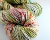 Yarn Superfine SW Merino Addison Worsted speckle dyed hand dyed 181 yards
