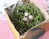 Mixed Media Art Piece - Nest