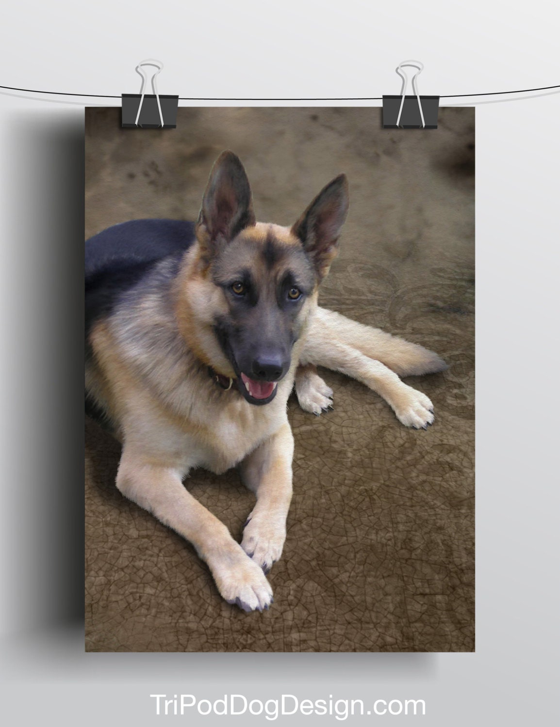 German Shepherd - 5x7 Giclee print on canvas
