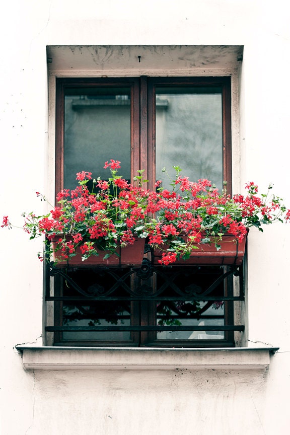 Paris Window Photography 8 x 12 Print. Paris, Architecture, Vintage, Still Life, White Wall, Red Geraniums. Flower Box, Window Box