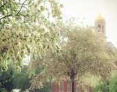 Flowering FANEUIL HALL, BOSTON, Flower, Garden, Crabapple, Spring, City Photography, Cityscape Art, Massachusetts Print,