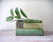 Vintage Collection of Books in Rustic Greens
