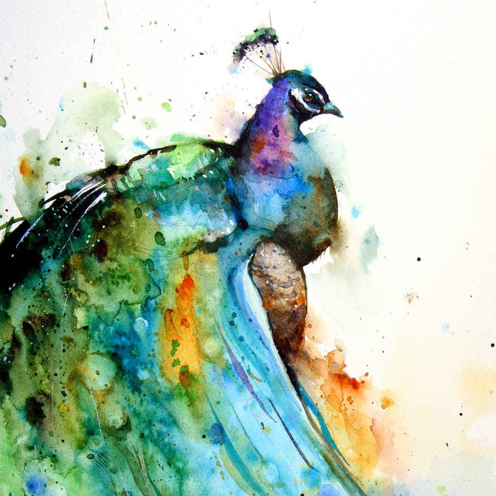 PEACOCK Set of 2 Watercolor Prints by Dean Crouser