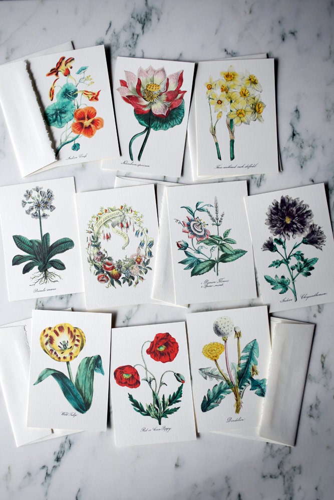 The American Flora - note card set