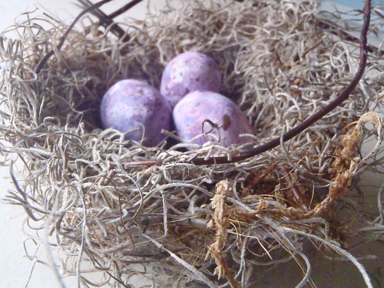 Home Decor Birds Nest - Spanish Moss w/ Three PURPLE Eggs -  6 Inch Nest