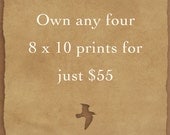 Own any four 8 x 10 Follow The Raven fine art prints at a special low price