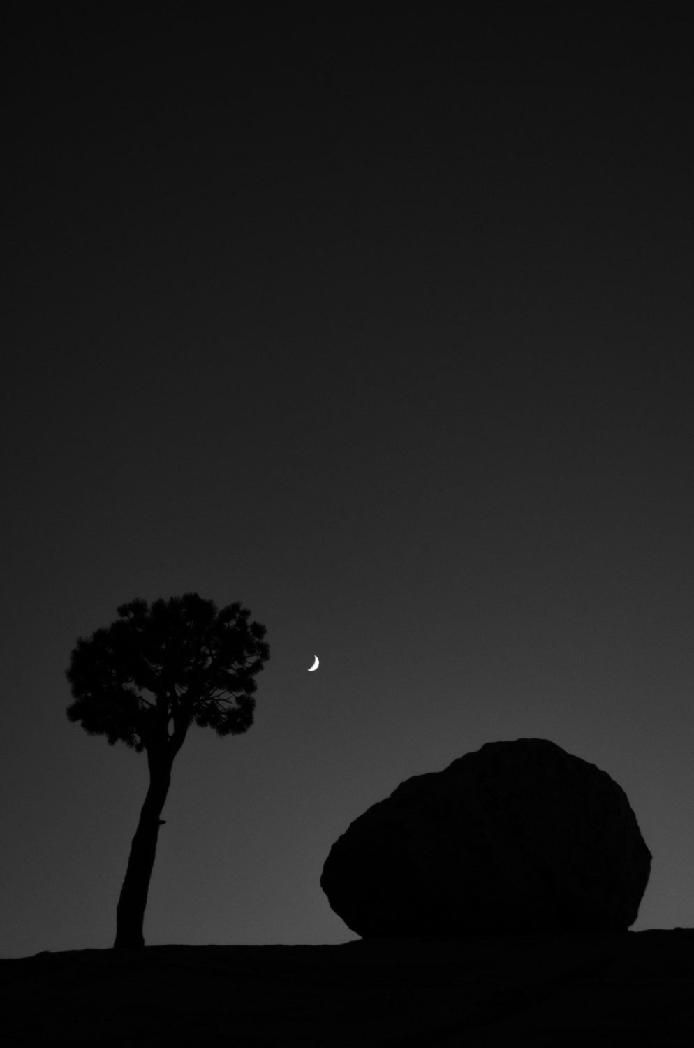 oneness with your world - fine art photograph- 11x17 - NV olmstead point - yosemite national park  - californi a