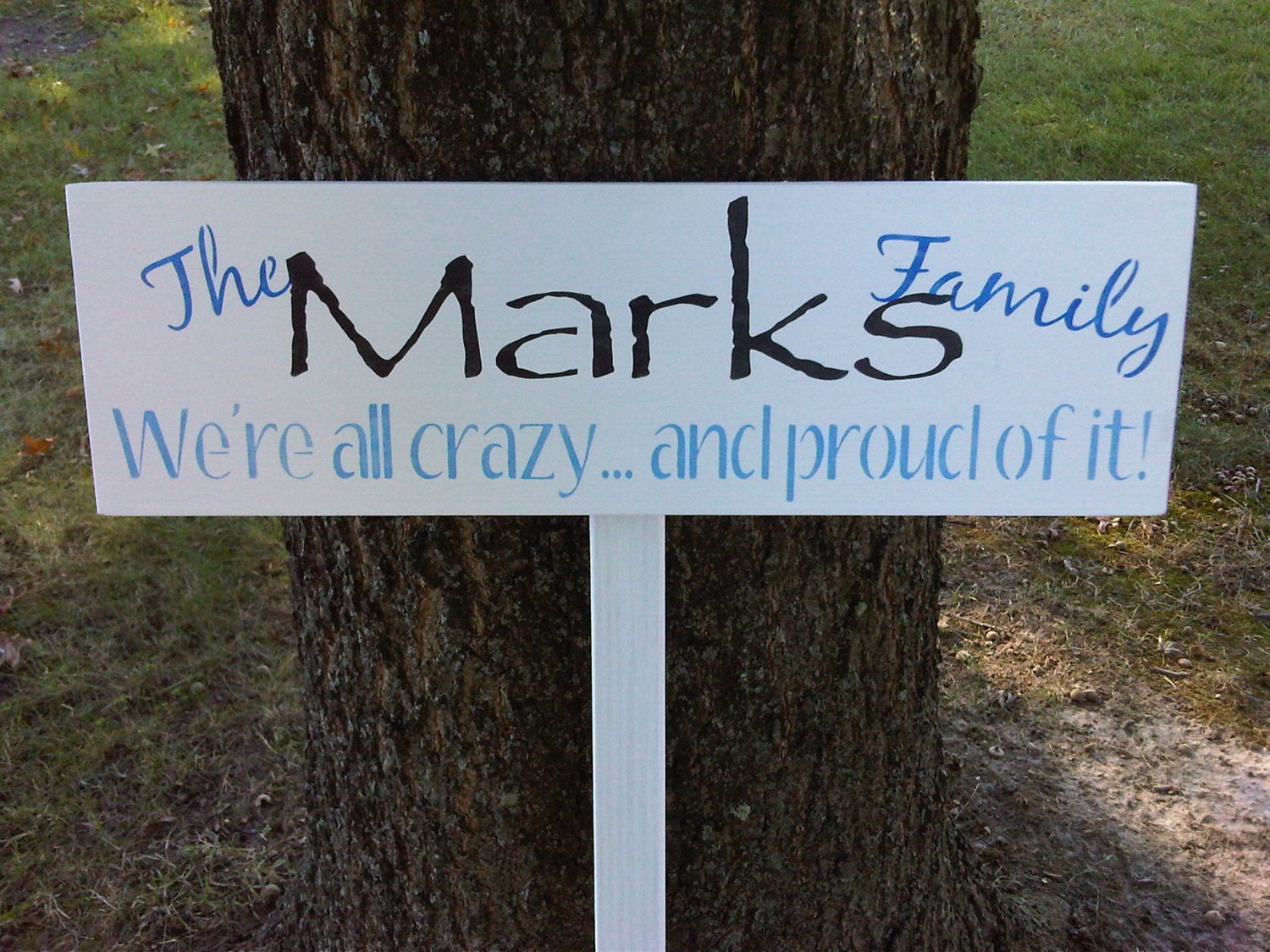 Funny Family Name sign & stake yard sign - Customized family name. short saying as pictured or your own saying