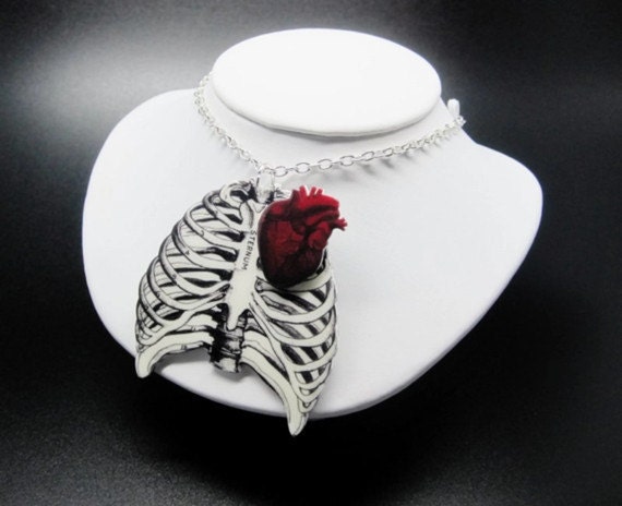 Anatomical Rib Cage Necklace Anatomical Heart Red Anatomy Anatomically Correct Statement Jewelry Medical Illustration