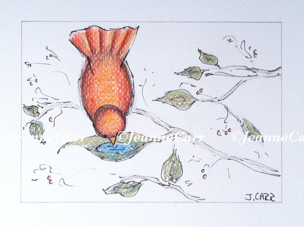 Drinking Red Bird Original Drawing
