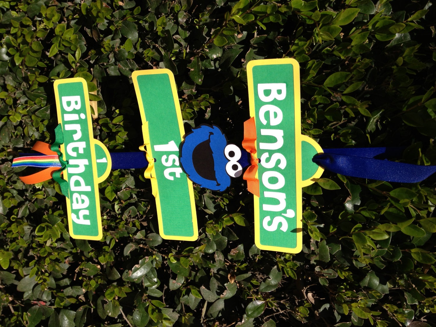 Cookie Monster/Sesame Street Birthday Party Sign