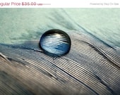 SALE 30% OFF Blue Feather water Drop 8x12 fine art photography print contemporary art aqua