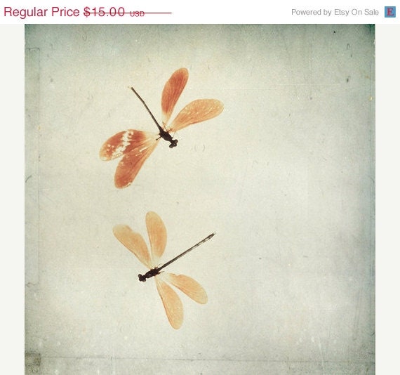 SALE 30% OFF Dragonfly Print: Dragonflies 5x5 Fine Art Photography wall art decor yellow orange macro