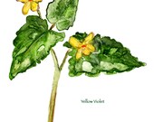 Violets Mary Blocksma's Spring Wildflower Notecards
