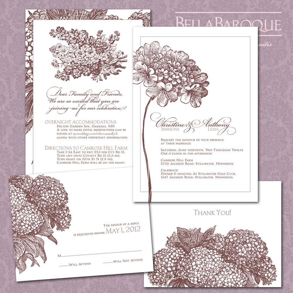 Floral Series - Hydrangea