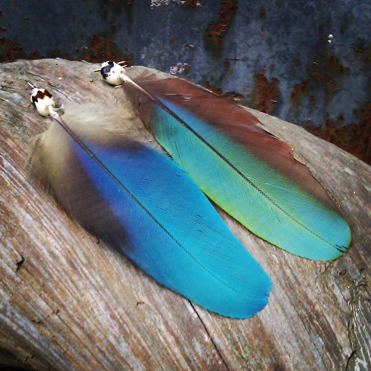 Turquoise feather earrings