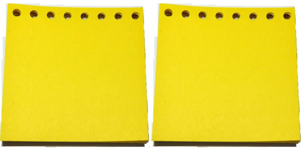 Paper Refill PACK for your Handy Dandy Notebook - 100 pages