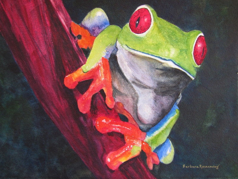 Red Eyed Tree Frog, Tropical Amphibian Art Print, Reproduction of Original Watercolor Painting, Barbara Rosenzweig, Child Jungle Decor, Etsy