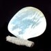Md 6in Mother of Pearl Smudge Plate, polished Gold Lip m.o.p., money spell, Baby Blessing, Wiccaning, Offering plate, altar, free white Sage