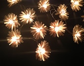 Natural color flower with pollen string lights for Patio,Wedding,Party and Decoration (20 bulbs)