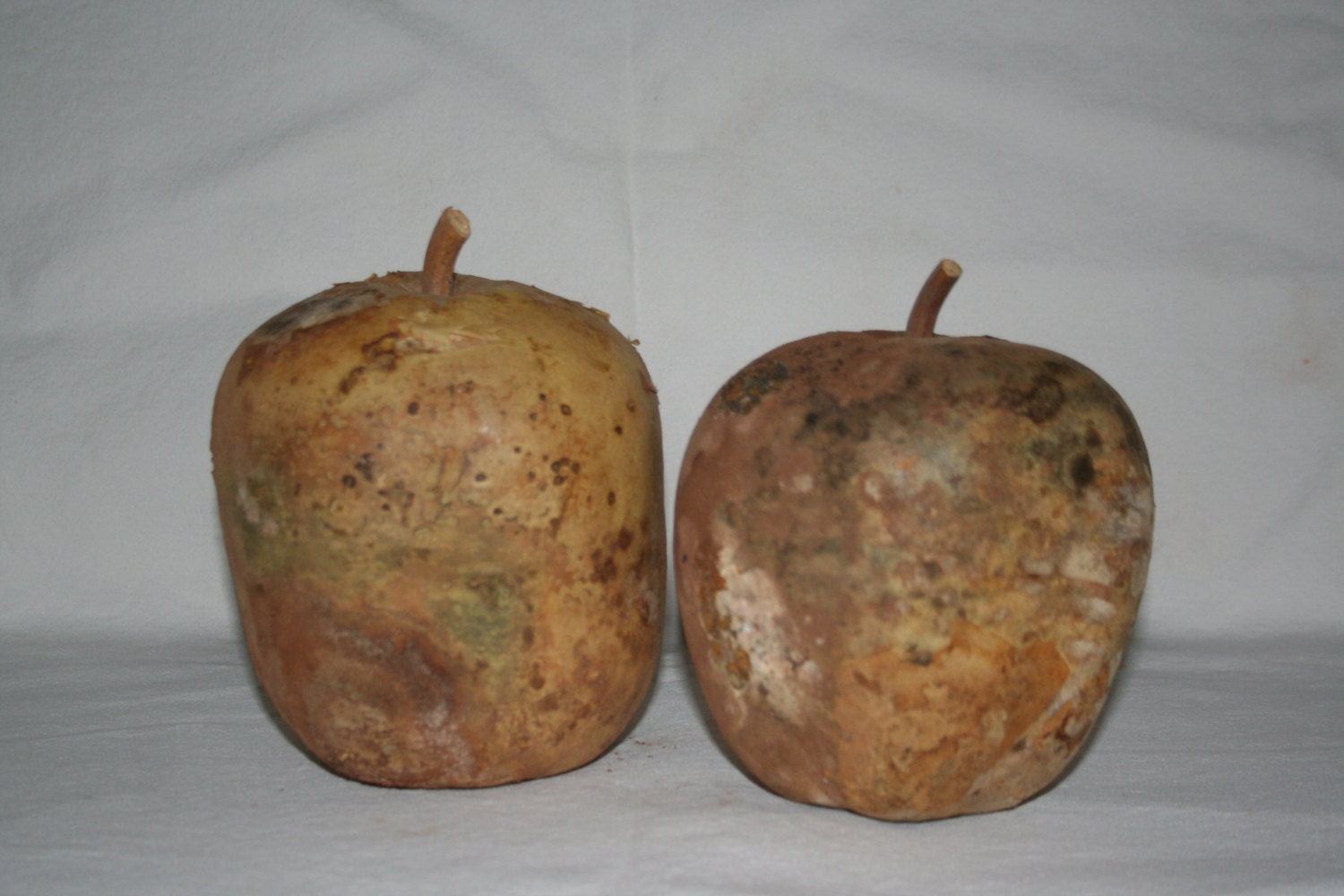 Two Uncleaned Apple Gourds