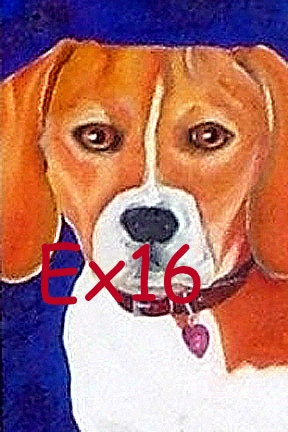 Post Card Beagle Dog with Stamp Art Postcard 4 x 6