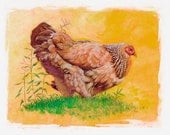 The Chicken print