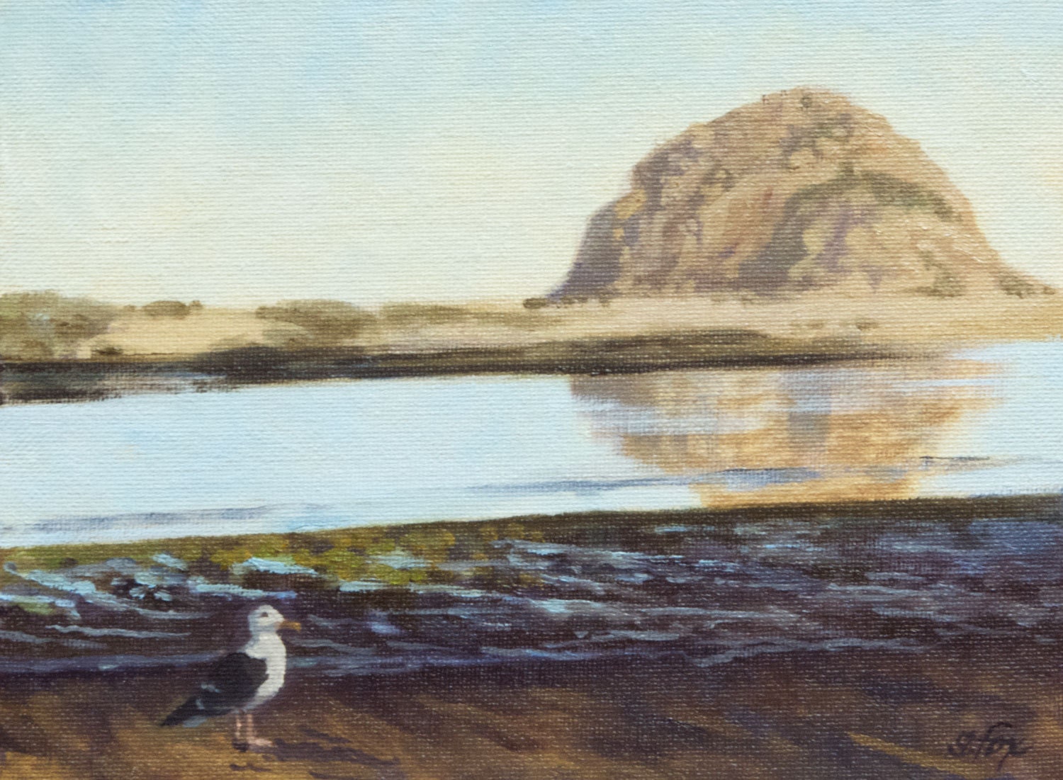 Morro Gay Gull oil painting