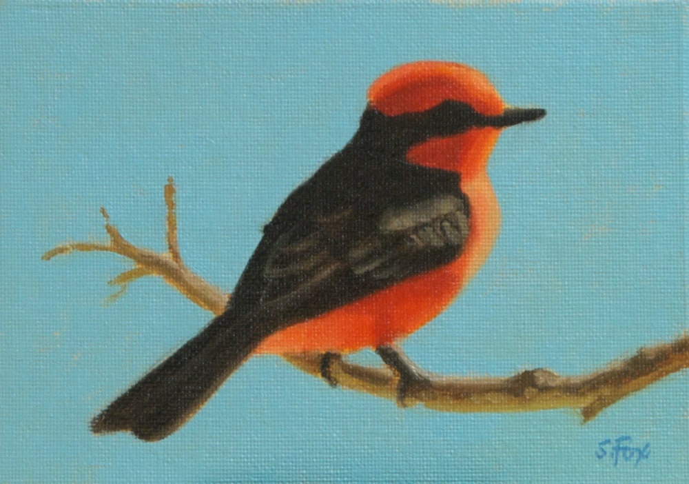 Vermillion Flycatcher oil painting