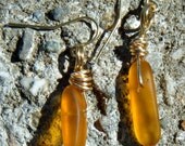 Golden Honey Tusk Sea Glass  Earrings. Beautiful amber honey and gold wire wrapped sea glass earrings