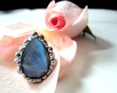 Real Butterfly Wing  Ring - Blue Morpho Zephyritis