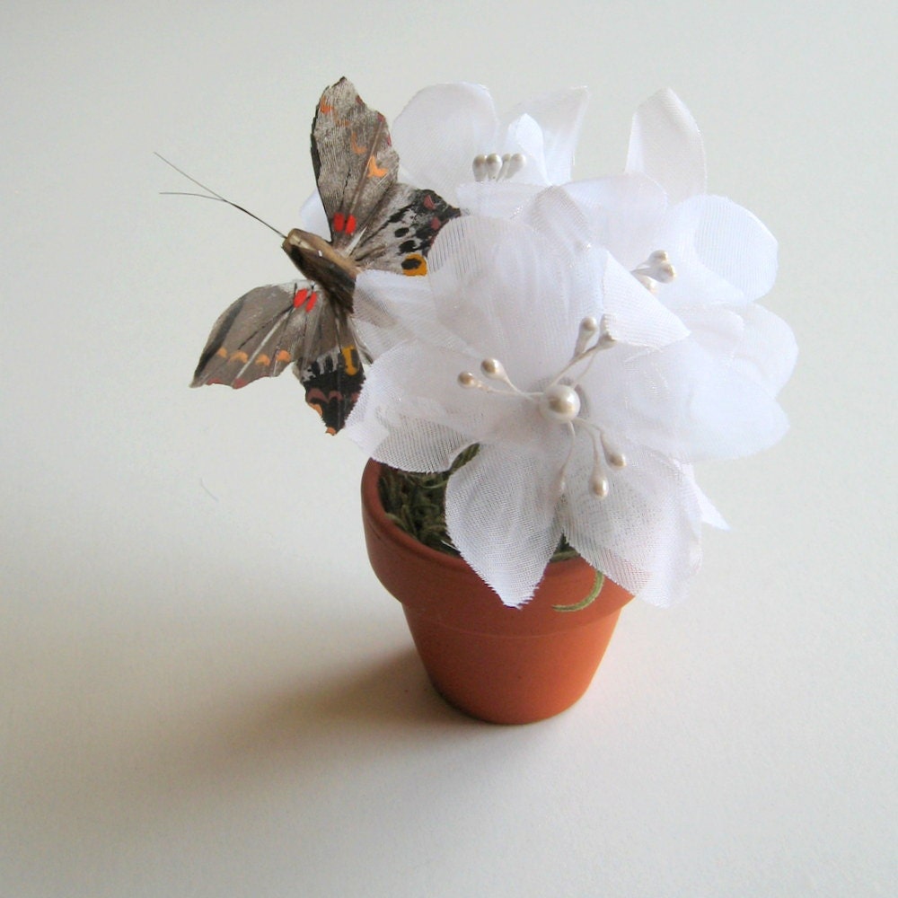 White Flowers and Butterfly Hair Pins in a Terracotta Pot