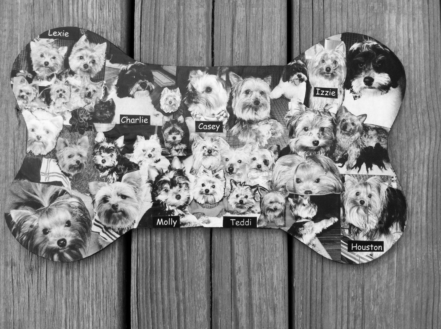 Custom Dog Bone Photo Collage