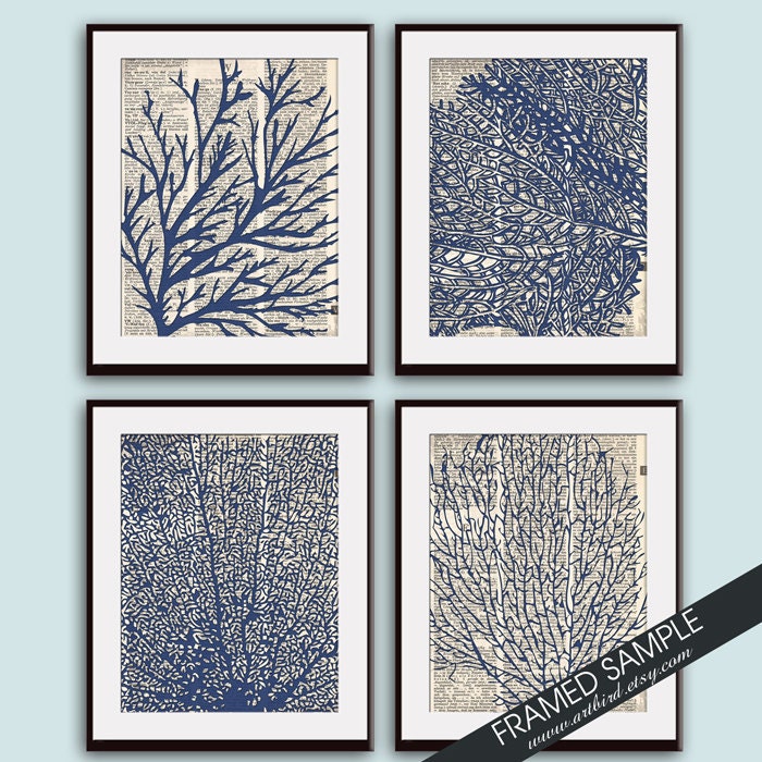 Underwater Sea Coral Dictionary Art (series D) Set of 4 11x14 Art Prints (ART BIRD Art Prints - Modern Elegance)